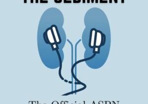 The_Sediment_Logo_a9grk[1]